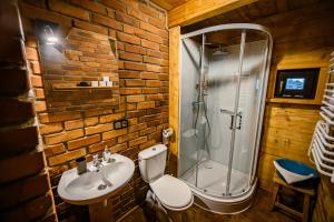 a bathroom with a sink and a shower at Sokolisko - domki całoroczne z kominkiem in Wysoczany