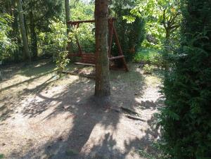 un arbre avec une balançoire attachée à un arbre dans l'établissement Domek Letniskowy Mietlica, 