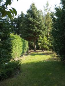 un jardin avec des arbres et de la pelouse ainsi qu'une haie dans l'établissement Domek Letniskowy Mietlica, 