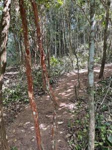 ein Feldweg mitten im Wald in der Unterkunft La Colline - Casa Panorâmica in Guaraciaba do Norte