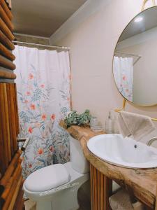 bagno con lavandino, servizi igienici e specchio di Cabaña de Montaña Puro Corazón a Los Altos de Cerro Azul