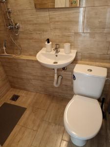 y baño con aseo blanco y lavamanos. en Apartament przy Motławie en Gdansk