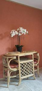 una mesa con una maceta encima en Gîtes Mas des rochers - Case bambou avec Spa, en Le Beausset