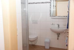 a bathroom with a toilet and a sink and a mirror at Landhaus Rauch in Schwendau