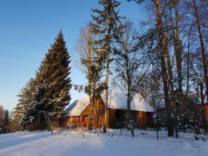 a wooden barn in the snow with trees at Brīviņi in Jaunjelgava