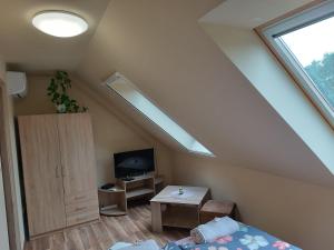 a room with a bed and a television in a attic at Holt-Tisza Vendégház in Szeged