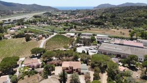 una vista aérea de una ciudad con un viñedo en Casa Rosada en Marina di Campo