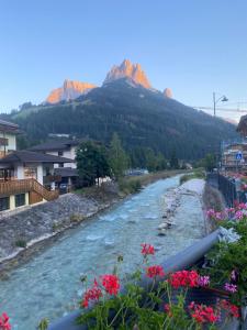 a river with mountains in the background with flowers at Garnì Villa Elsa in Pozza di Fassa