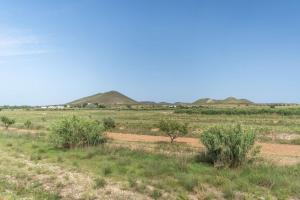 a field with bushes and hills in the distance at Casa rural Acueducto in Almería