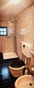 W łazience znajduje się toaleta, umywalka i prysznic. w obiekcie Casa da Avó w mieście Armamar