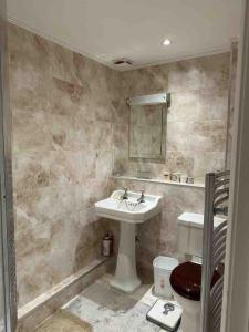 uma casa de banho com um lavatório e um WC em A magical countryside retreat em New Alresford