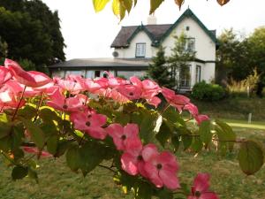 Κήπος έξω από το Robin Hill House Heritage Guest House