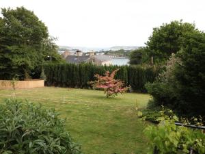 un jardin avec un arbre rose au milieu d'une cour dans l'établissement Robin Hill House Heritage Guest House, à Cobh
