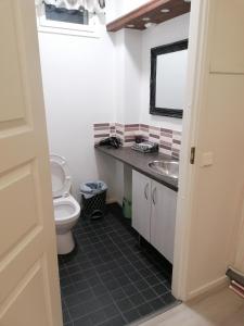 ラーヘにあるMajoituspalvelu Nurmi Apartments Välitieのバスルーム(トイレ、洗面台付)
