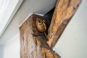 a wooden door with a bolt in it at Black Horse Hotel in Grassington +76 photos