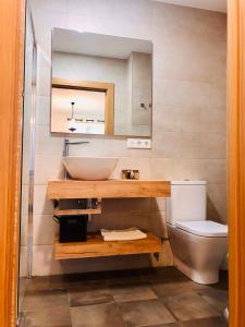 La salle de bains est pourvue d'un lavabo et de toilettes. dans l'établissement Apartamentos Zabalarena Artzaia, à Orbaiceta
