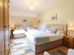 a bedroom with two beds and a rug at Ty Newydd in Dolanog