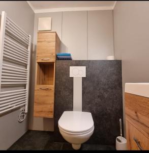 ein Bad mit einem weißen WC in einem Zimmer in der Unterkunft Haus Auebach in Ellmau
