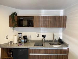 a kitchen with a sink and a counter top at Asombroso Loft Moderno Con Excelente Ubicación in Mexico City