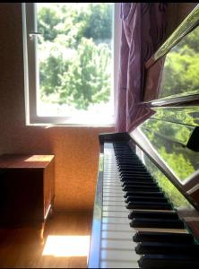 um piano sentado em frente a uma janela em Sofia's hotel 