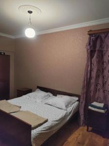um quarto com uma cama com uma cortina roxa em Sofia's hotel 