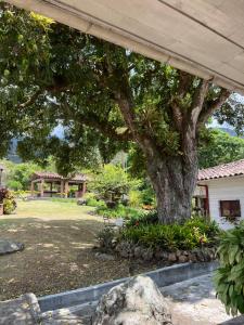 a large tree in a yard with a house at Casa Vieja Mountain Lodge 