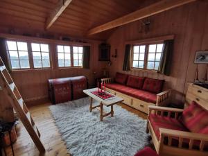 Fotografie z fotogalerie ubytování Høyfjellshytte i Valdres med panoramautsikt v destinaci Liastølane