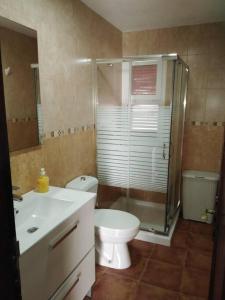 サン・バルトロメにあるLa casita de Yayaのバスルーム(トイレ、ガラス張りのシャワー付)