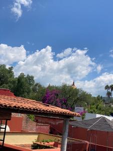 een uitzicht op een dak van een huis met bomen bij Casa Laberinto in San Miguel de Allende