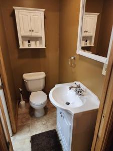 a bathroom with a toilet and a sink at 2 bed, 1.5 bath cottage across from Watauga Lake in Butler