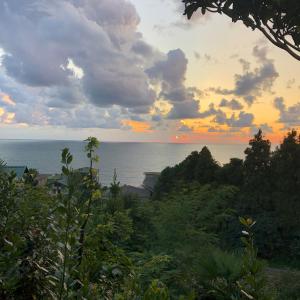 查克維的住宿－查克維塔澤生態旅館，日落时分从森林欣赏海景