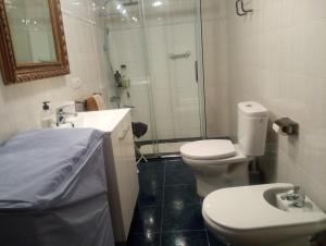 La salle de bains est pourvue de toilettes, d'une douche et d'un lavabo. dans l'établissement Can Molone, à Cornudella de Montsant