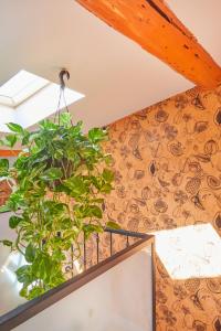 Una planta en una escalera con un mural en el techo. en Remarkable flat in the historical part of Beziers, en Béziers 16 fotos más