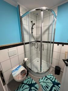 La salle de bains est pourvue d'une douche, de toilettes et d'un tapis. dans l'établissement Ferienwohnung Pfaffensteinblick, à Hirschbach