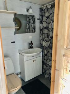 a small bathroom with a sink and a toilet at Fint sjönära annex in Växjö