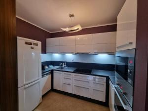 A kitchen or kitchenette at Central business apartment - FREE PARKING