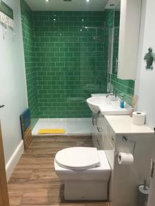 uma casa de banho com um WC e um chuveiro com azulejos verdes. em The Riverside Apartment on Cheddar Bridge Apartments em Cheddar