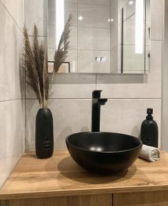 A bathroom at BMZ Centrum Flat Még 7 kép