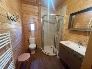 a bathroom with a shower and a toilet and a sink at La joue du loup Bord des pistes - Chalet en bois de charme pour 10 personnes in Le Dévoluy