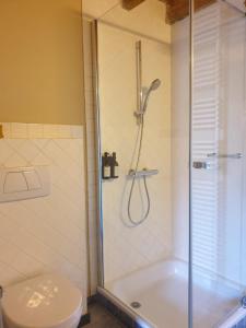 La salle de bains est pourvue d'une douche et de toilettes. dans l'établissement Het Oud Gemeentehuis-De Levensboom, à Damme