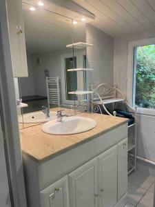 a bathroom with a sink and a large mirror at La maison de la Capiniella in La Chapelle-Moulière