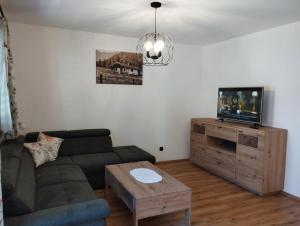 a living room with a couch and a tv at Appartement Lisi`s Dahoam in Achenkirch