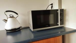 microondas y hervidor de agua en una encimera en Apartmán U Borovice, en Bílá Třemešná 17 fotos más