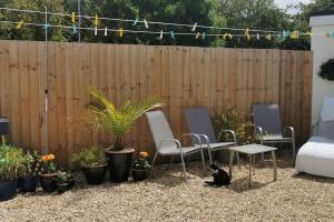a black cat sitting on the ground in a backyard at Chy Lowen Private rooms with kitchen, dining room and garden access close to Eden Project & beaches in Saint Blazey