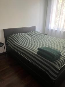 ein Bett mit grüner und weißer gestreifter Bettwäsche und einem Fenster in der Unterkunft ŽALI apartamentai Šilutė in Šilutė