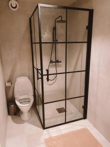 a shower stall in a bathroom with a toilet at Cozy and newly renovated appartment in Kristiansand