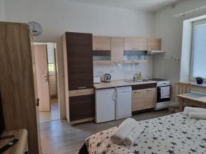 a small kitchen with wooden cabinets and a bed at Garsoniera DUKLA 289 in Děčín