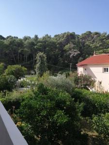 Příroda nedaleko apartmánu + 37 fotografií