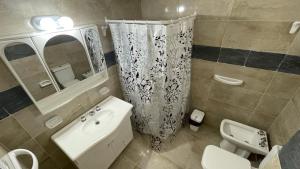 bagno con lavandino, servizi igienici e specchio di Departamentos San Lorenzo a Tres Arroyos
