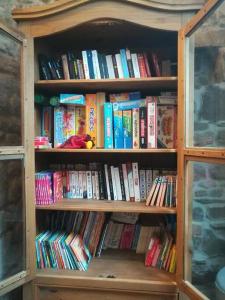a book shelf filled with lots of books at Location maison Bourboule in Murat-le-Quaire
